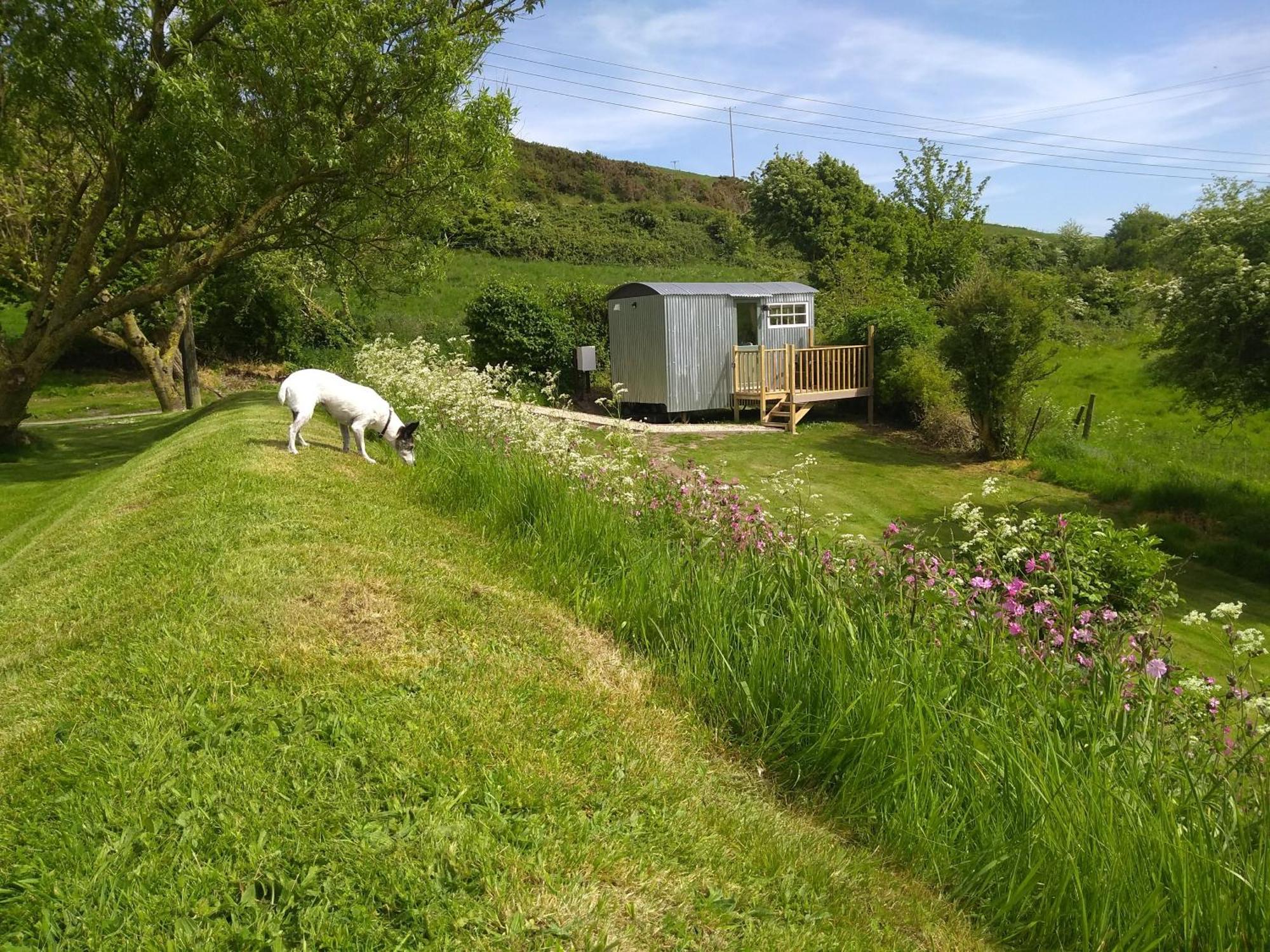 Shepherds Hut Weymouth Esterno foto